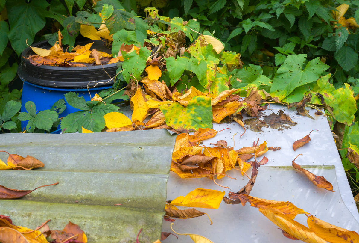 Chris gardening demo